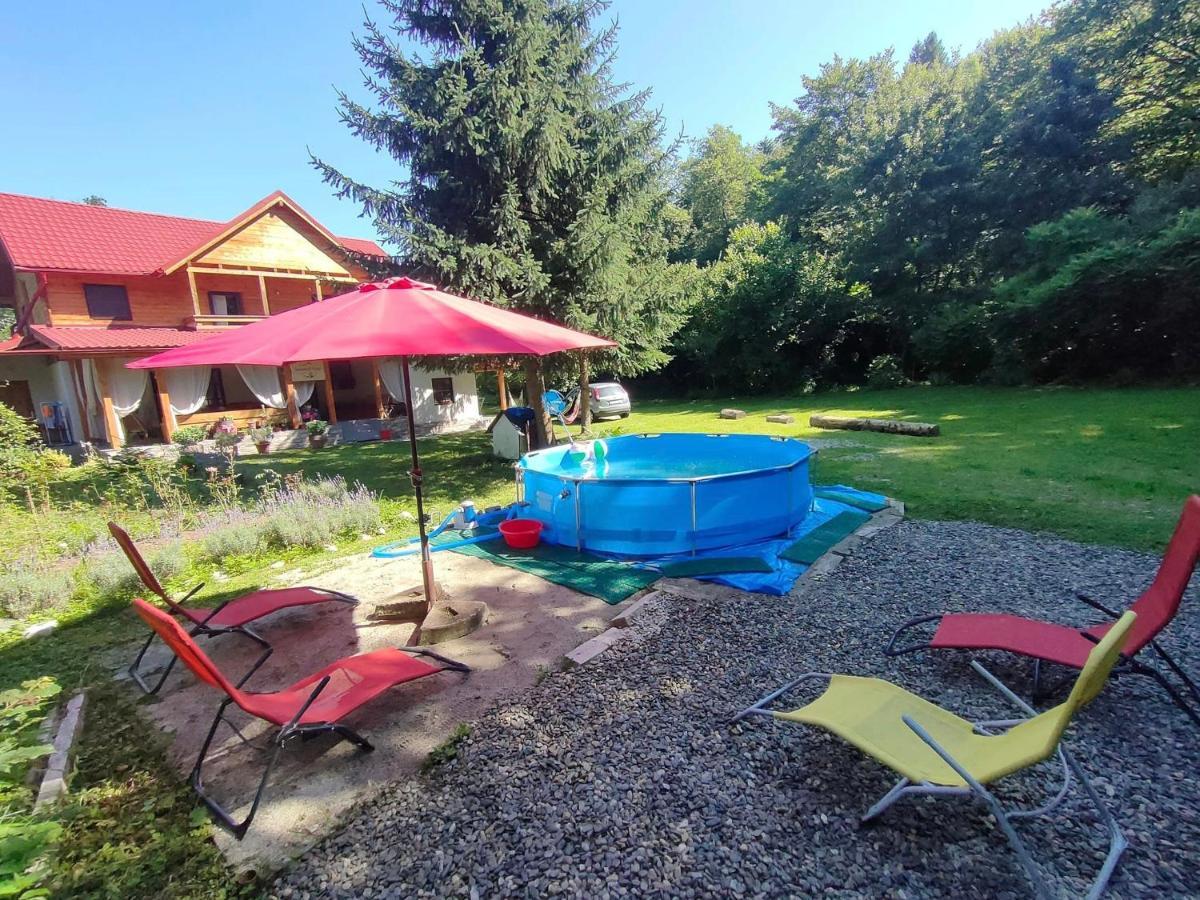 Susurul Apei Chalet Porumbacu de Sus Εξωτερικό φωτογραφία