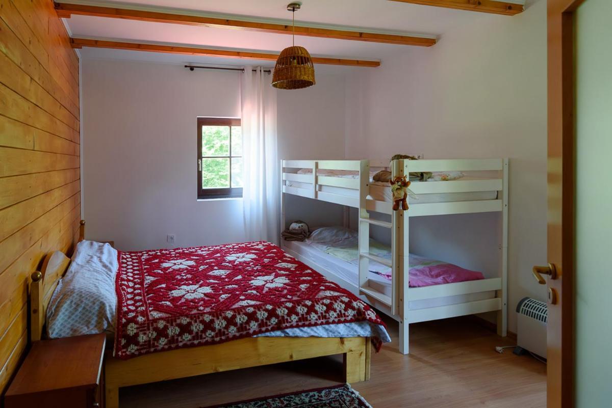 Susurul Apei Chalet Porumbacu de Sus Εξωτερικό φωτογραφία