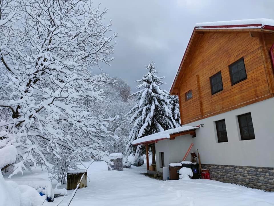 Susurul Apei Chalet Porumbacu de Sus Εξωτερικό φωτογραφία