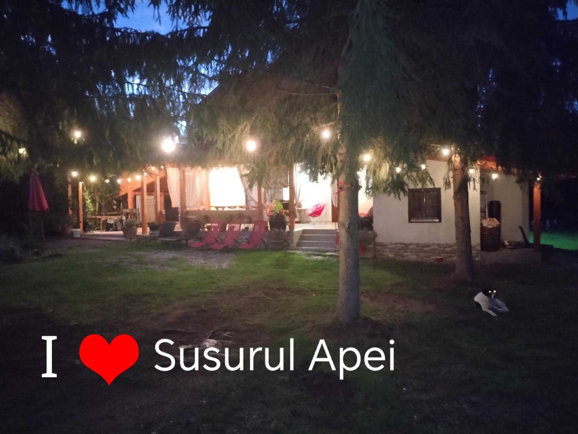 Susurul Apei Chalet Porumbacu de Sus Εξωτερικό φωτογραφία